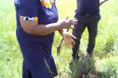 6aa1f6f4-0c4f-4557-a5b6-8d5db16c1b79